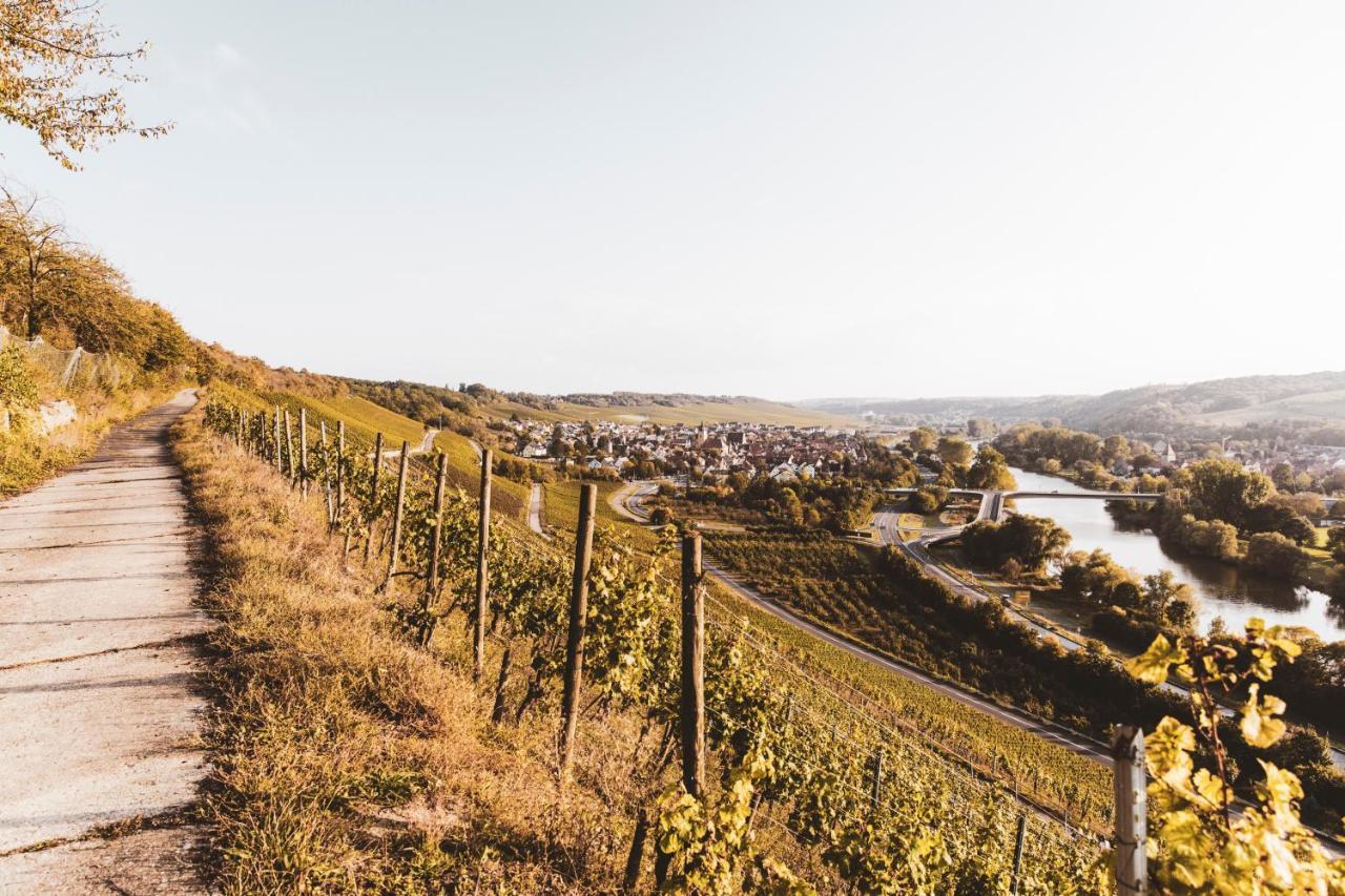 Weingut Pastoriushaus - Artur Steinmann Ξενοδοχείο Sommerhausen Εξωτερικό φωτογραφία