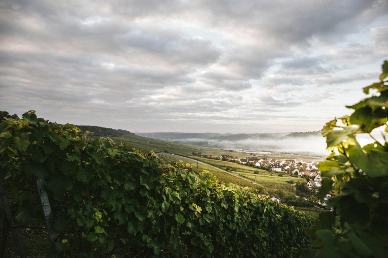 Weingut Pastoriushaus - Artur Steinmann Ξενοδοχείο Sommerhausen Εξωτερικό φωτογραφία